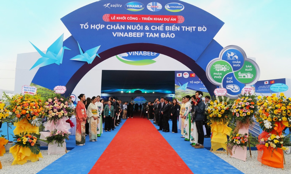 Người tiêu dùng sắp có thêm lựa chọn thịt bò mát với tổ hợp Vinabeef Tam Đảo