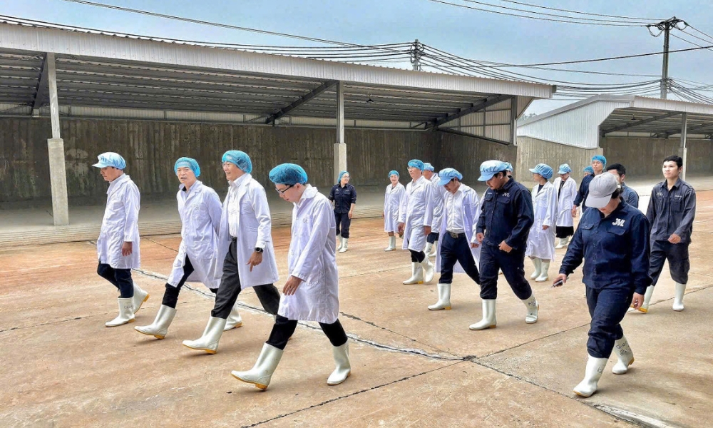 Lãnh đạo cấp cao Nhật Bản tại VN thăm và làm việc tại Tổ hợp Trang trại – Nhà máy thịt bò JVL Tam Đảo